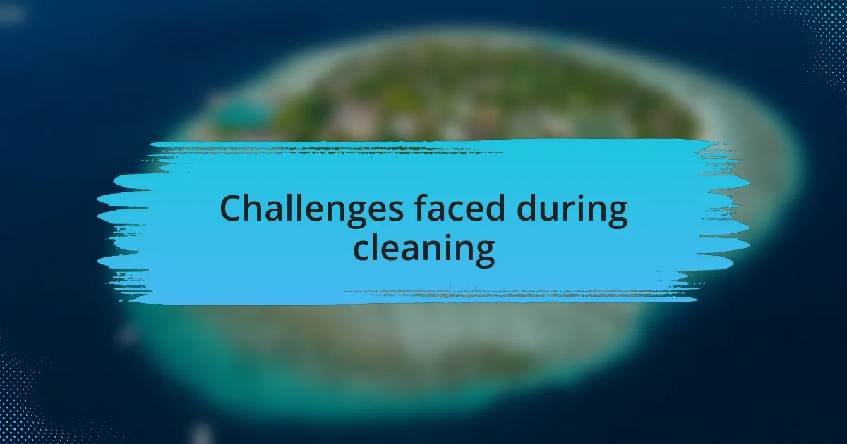 Challenges faced during cleaning